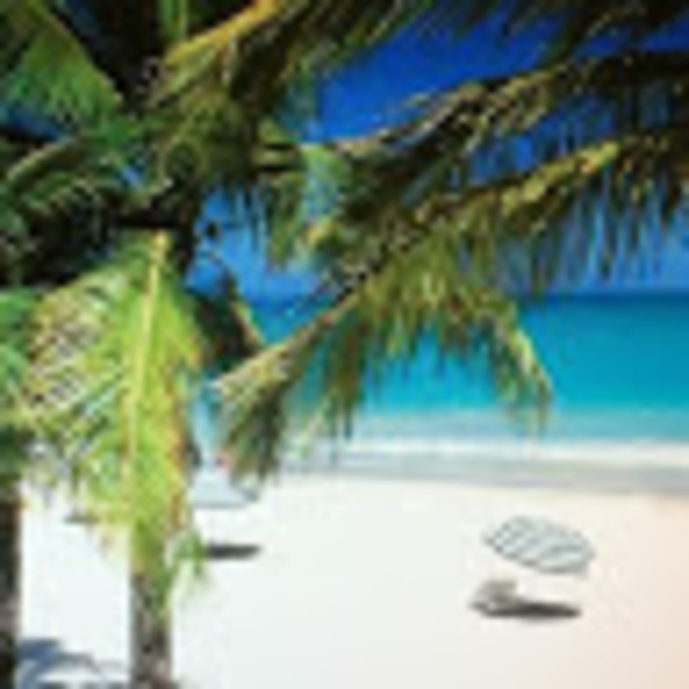 Meet your Posher, Belinda